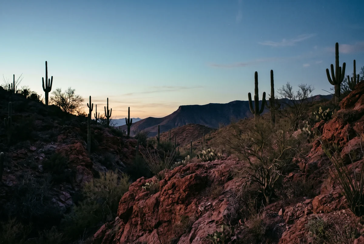 Saguaro cactus silhouettes on rust-red slopes under a turquoise sky.