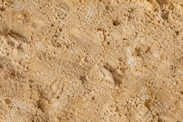 Golden-beige limestone shows small pores, fossil-like flecks and uneven mineral grain.