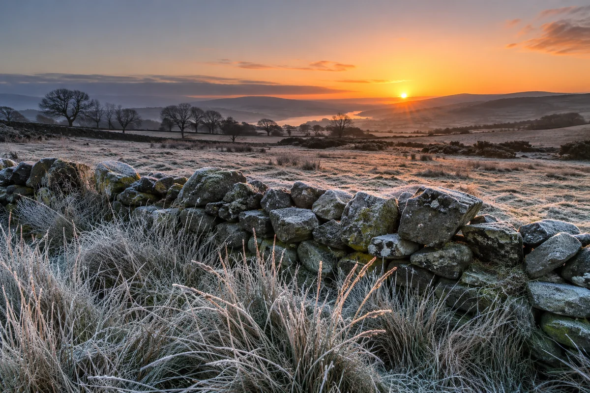 A low winter sunrise illuminates frosted Irish grassland beside a rough stone wall.